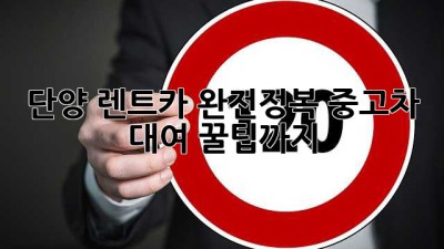 단양 렌트카 완전정복!🚗 중고차 대여 꿀팁까지?!