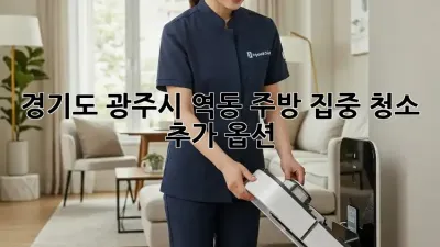 경기도 광주시 역동 주방 집중 청소 추가 옵션